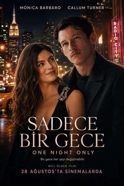 Sadece Bir Gece afişi