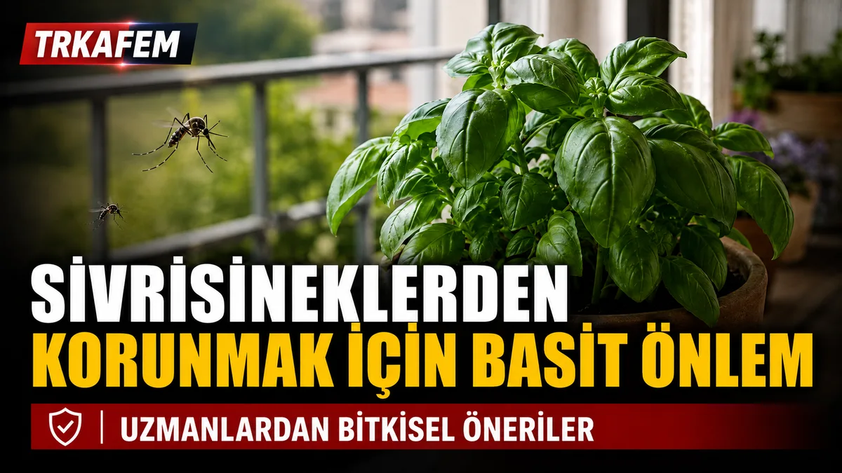 sivrisineklerden korunmak için bitkisel tavsiyeler